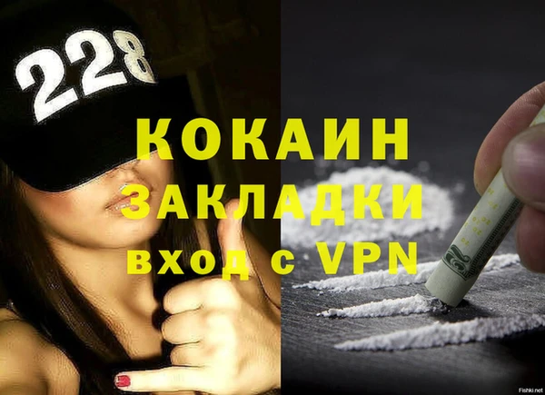 твердый Аркадак