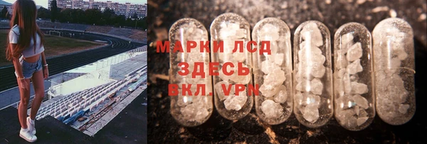 твердый Аркадак