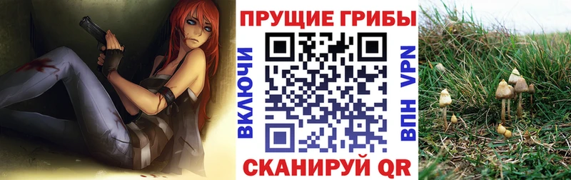 Галлюциногенные грибы MAGIC MUSHROOMS  наркошоп  Краснотурьинск 